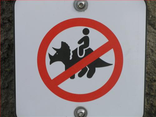 People riding rhinocerus is forbidden